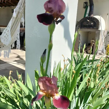 Familiale De 200 M2 Au Coeur De La Provence * Volx